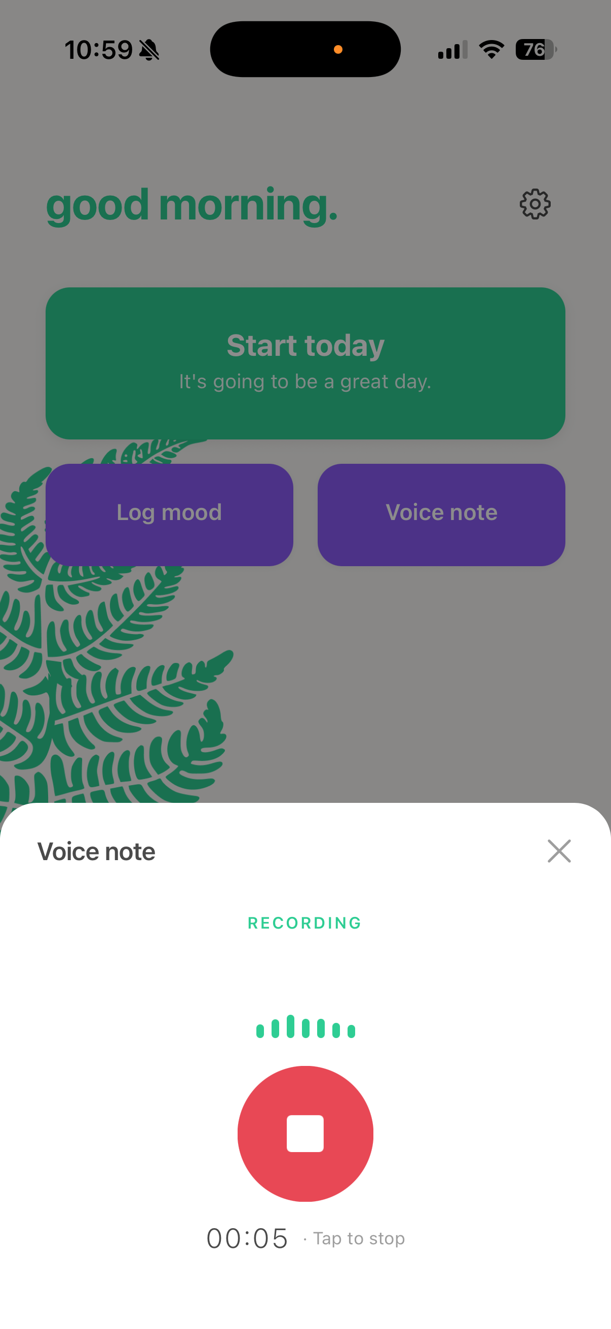 Fern voice note recorder showing audio waveform and recording interface